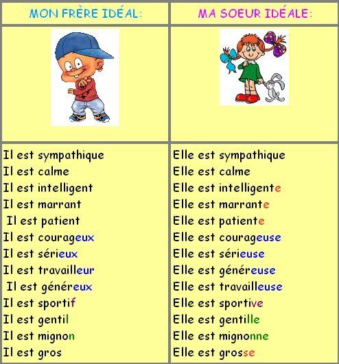 Adjectifs 1º ESO